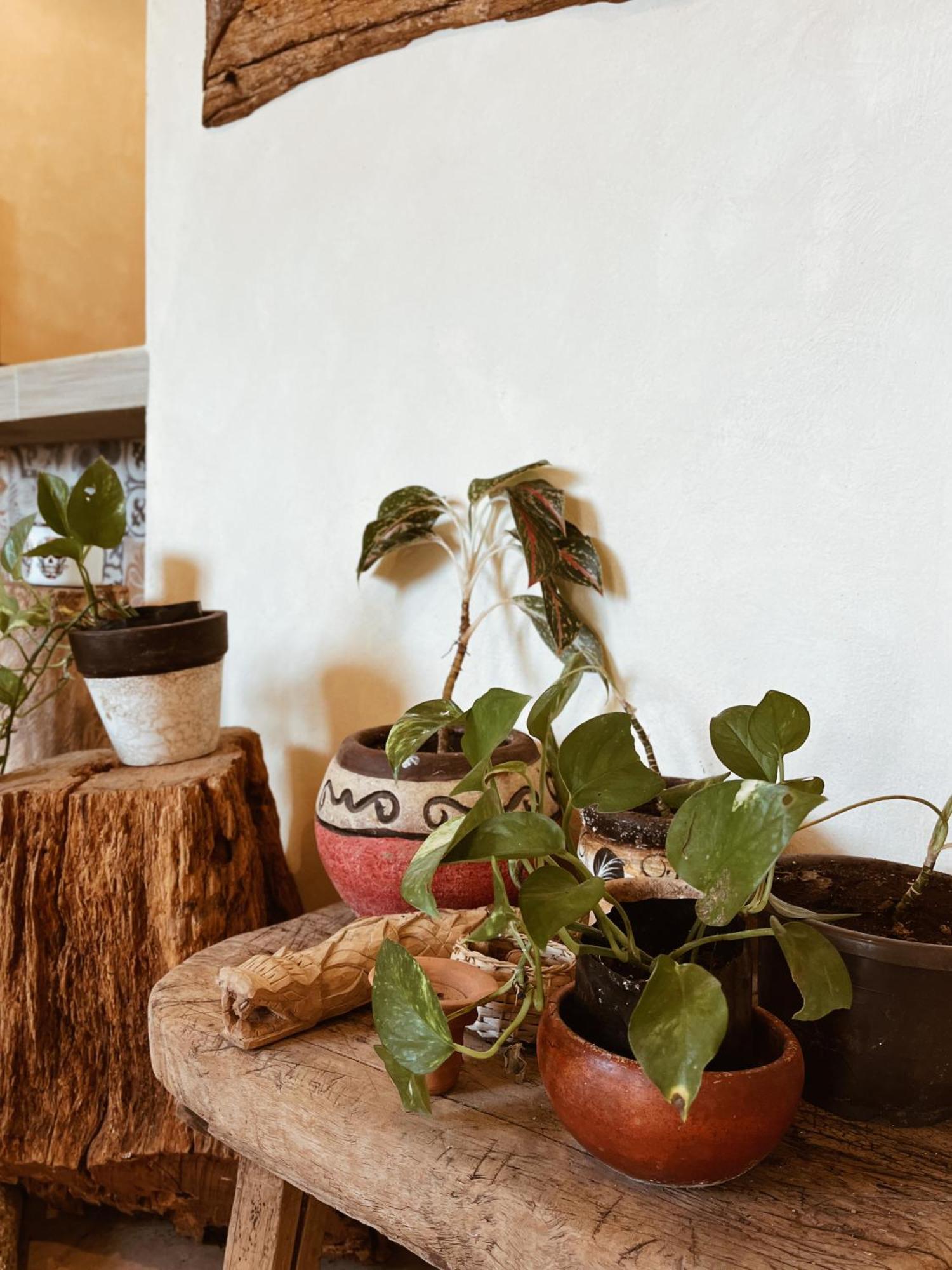 Ferienwohnung Sisal Loft Living Valladolid  Exterior foto
